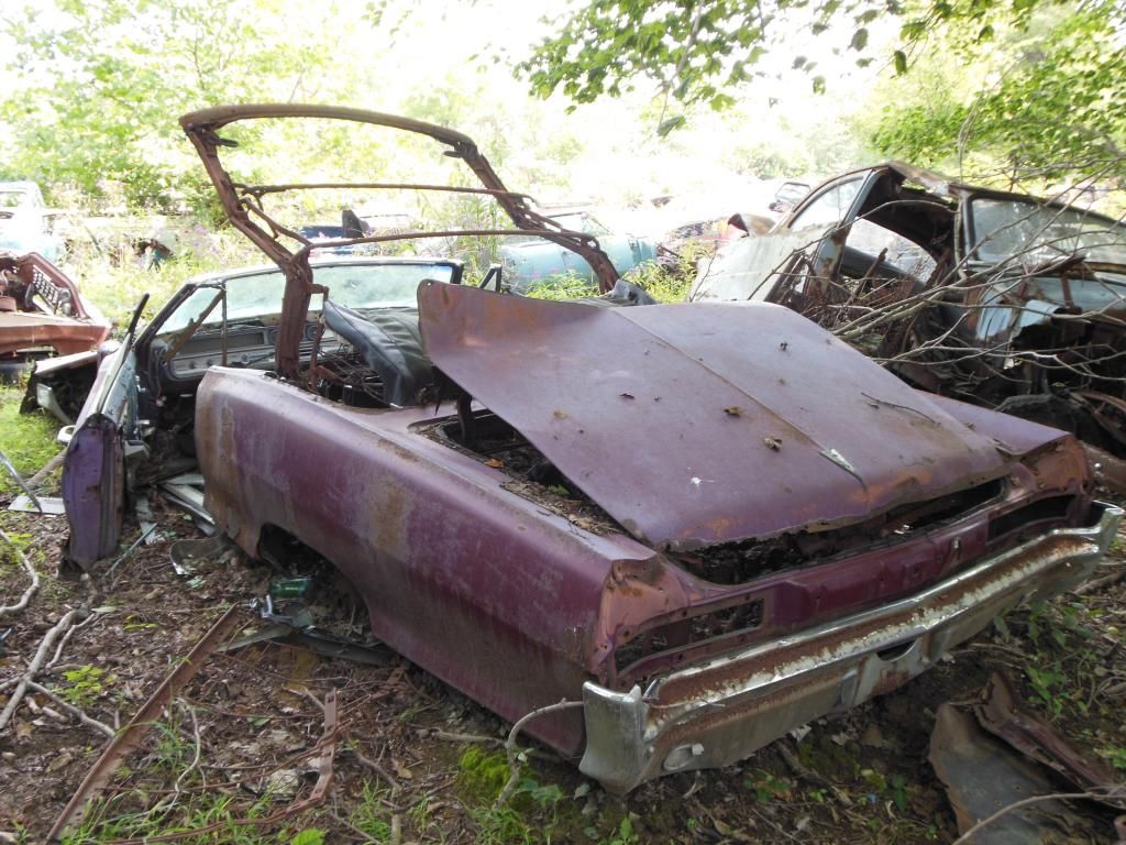 Stark wrecking yard, Dayton OH